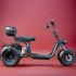 Электротрицикл Citycoco Pro Trike 3000 New